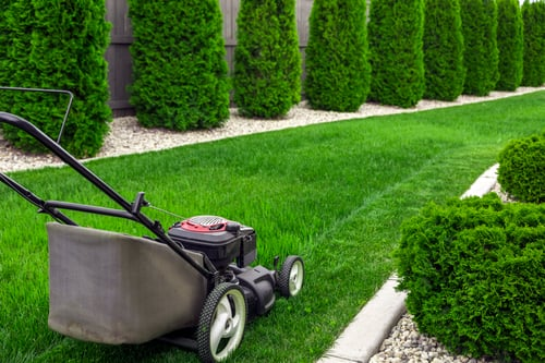 Keeping a Columbia Lawn Green Through July and August